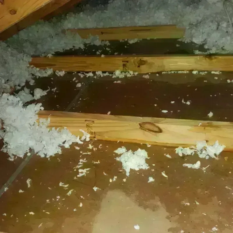 Attic Water Damage in Del Norte County, CA