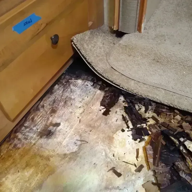 Wood Floor Water Damage in Del Norte County, CA